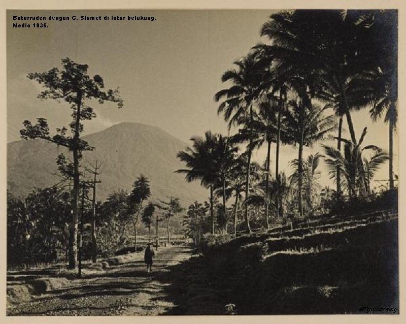 Hutan Baturraden tahun 1935 foto hitam putih